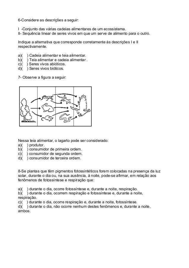 Atividades de Ciências Cadeia Alimentar 4 ano - Folha 03